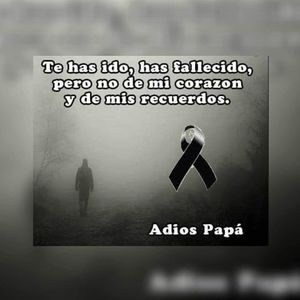 Meet your Posher, Ana